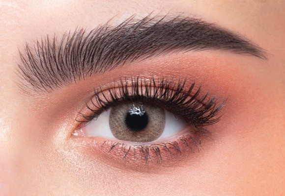 لومير براون #17 (يومي)