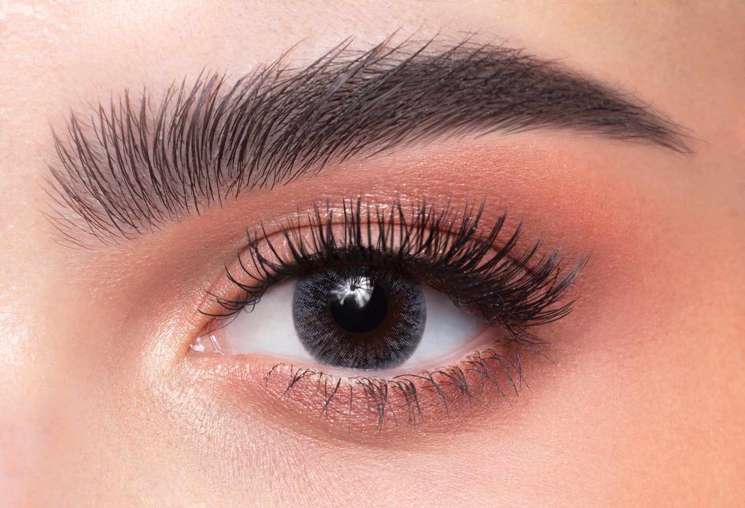 Grayish -#37 (DAILY)